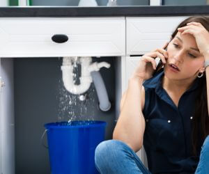 About Plumbers Pros Lily Dale, NY